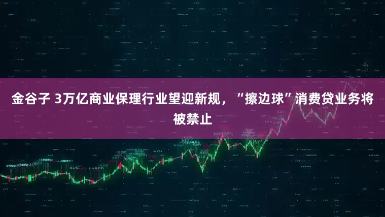 金谷子 3万亿商业保理行业望迎新规，“擦边球”消费贷业务将被禁止