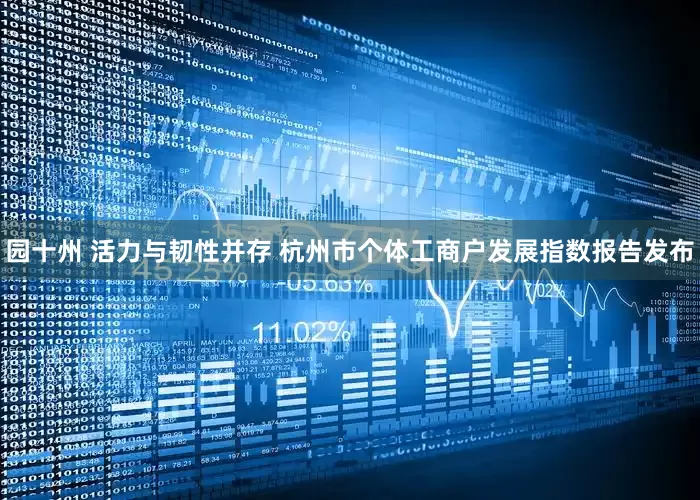 园十州 活力与韧性并存 杭州市个体工商户发展指数报告发布