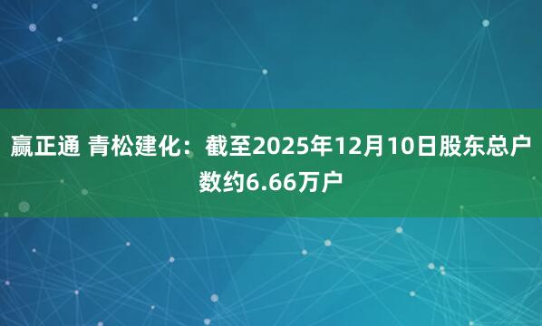 赢正通 青松建化：截至2025年12月10日股东总户数约6.66万户